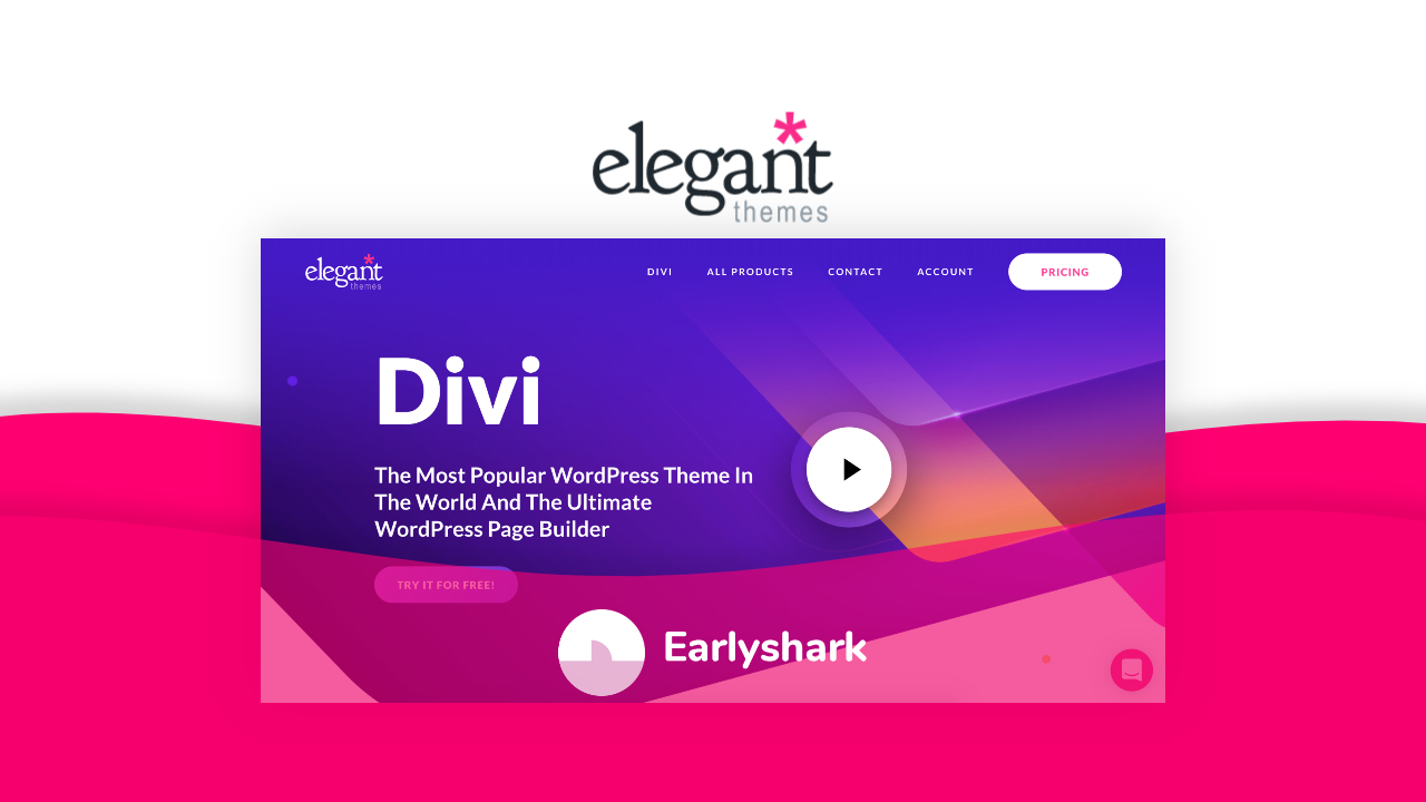 Divi theme