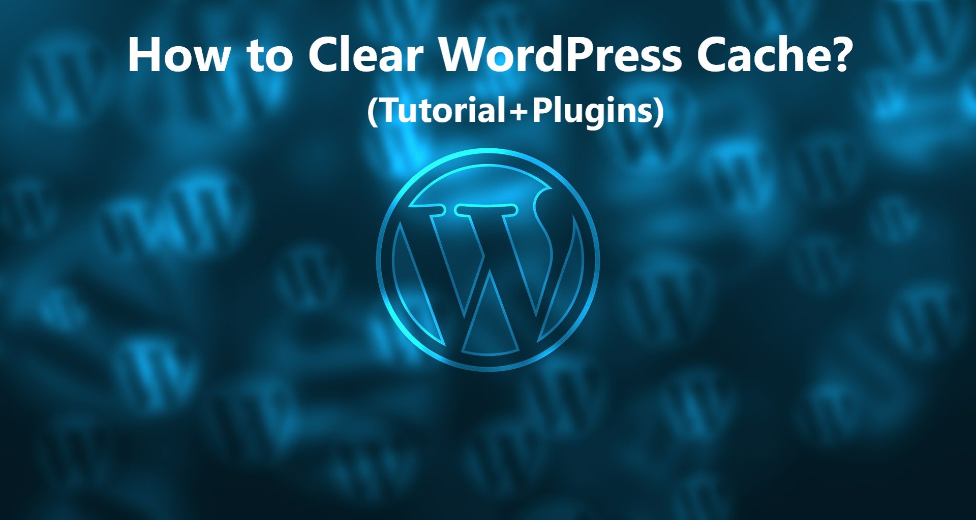 Clear Wordpress Cache