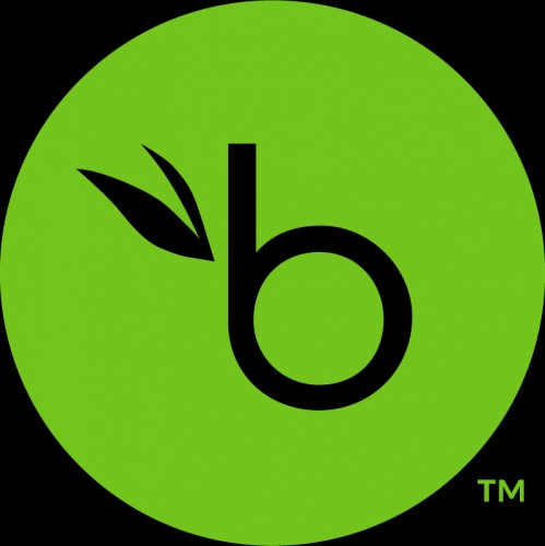 bambooHR-logo-green1