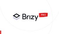 Brizy