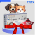 Petofy Pet RFID Microchip