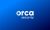 Orca Security